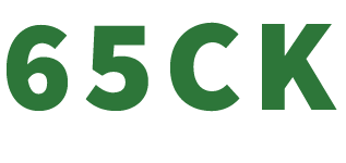 65Check logo